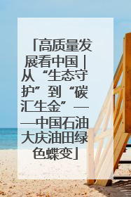 高质量发展看中国｜从“生态守护”到“碳汇生金”——中国石油大庆油田绿色蝶变