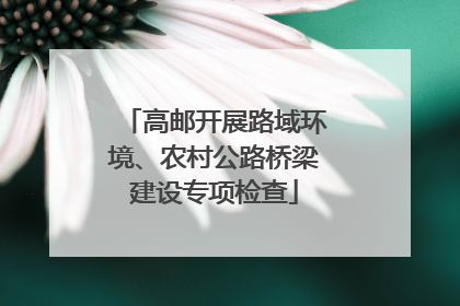 高邮开展路域环境、农村公路桥梁建设专项检查