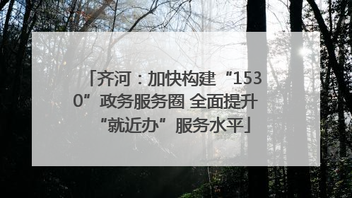 齐河：加快构建“1530”政务服务圈 全面提升“就近办”服务水平