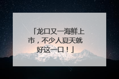 龙口又一海鲜上市，不少人夏天就好这一口！