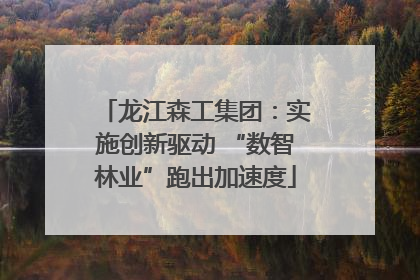 龙江森工集团：实施创新驱动 “数智林业”跑出加速度