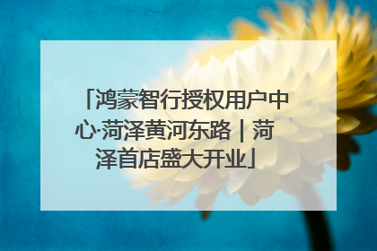 鸿蒙智行授权用户中心·菏泽黄河东路｜菏泽首店盛大开业