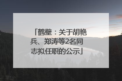 鹤壁：关于胡艳兵、郑涛等2名同志拟任职的公示