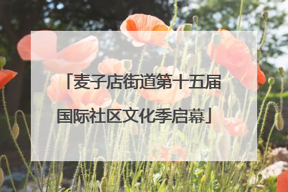 麦子店街道第十五届国际社区文化季启幕
