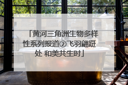 黄河三角洲生物多样性系列报道②飞羽翩跹处 和美共生时