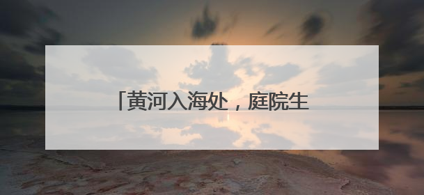 黄河入海处，庭院生金时——黄河口畔“归寻小院”的振兴密码