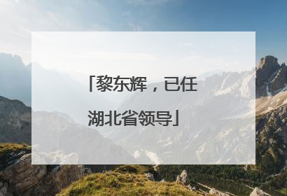 黎东辉，已任湖北省领导