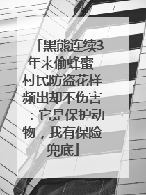 黑熊连续3年来偷蜂蜜 村民防盗花样频出却不伤害：它是保护动物，我有保险兜底