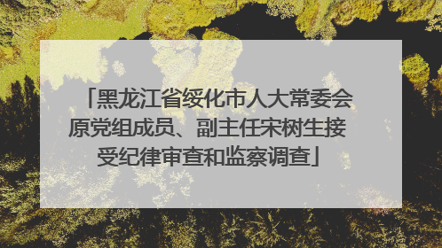 黑龙江省绥化市人大常委会原党组成员、副主任宋树生接受纪律审查和监察调查