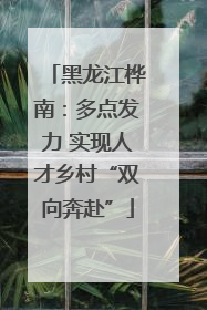 黑龙江桦南：多点发力 实现人才乡村“双向奔赴”
