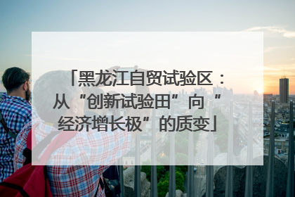 黑龙江自贸试验区：从“创新试验田”向“经济增长极”的质变