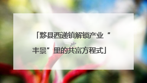 黟县西递镇解锁产业“丰景”里的共富方程式