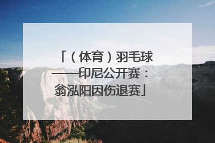 （体育）羽毛球——印尼公开赛：翁泓阳因伤退赛