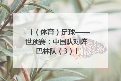（体育）足球——世预赛：中国队对阵巴林队（3）