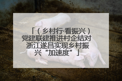 （乡村行·看振兴）党建联建推进村企结对 浙江遂昌实现乡村振兴“加速度”