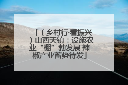 （乡村行·看振兴）山西天镇：设施农业“棚”勃发展 辣椒产业蓄势待发
