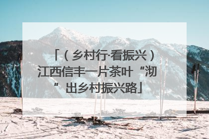 （乡村行·看振兴）江西信丰一片茶叶“沏”出乡村振兴路