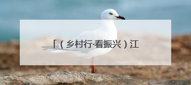 （乡村行·看振兴）江西安福“小西瓜”撬动乡村共富“大支点”