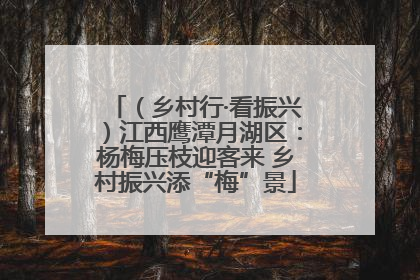 （乡村行·看振兴）江西鹰潭月湖区：杨梅压枝迎客来 乡村振兴添“梅”景