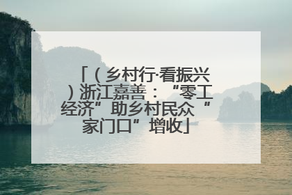 （乡村行·看振兴）浙江嘉善：“零工经济”助乡村民众“家门口”增收