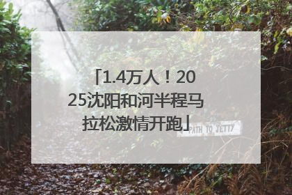1.4万人！2025沈阳和河半程马拉松激情开跑