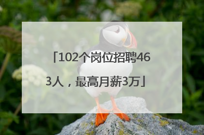 102个岗位招聘463人，最高月薪3万