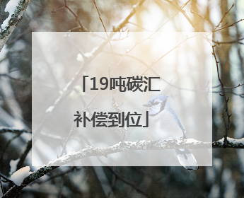 19吨碳汇补偿到位