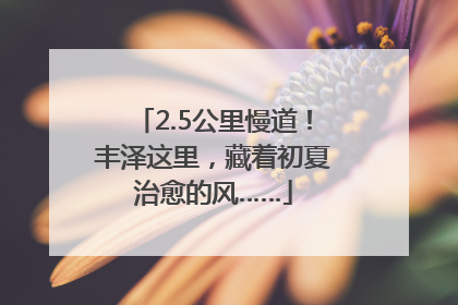 2.5公里慢道！丰泽这里，藏着初夏治愈的风……