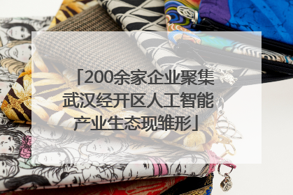 200余家企业聚集 武汉经开区人工智能产业生态现雏形