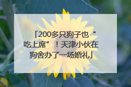 200多只狗子也“吃上席”！天津小伙在狗舍办了一场婚礼