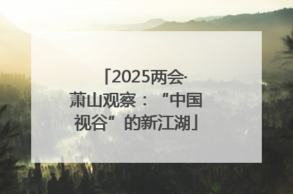2025两会·萧山观察：“中国视谷”的新江湖