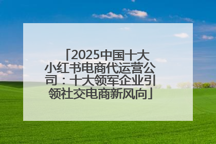 2025中国十大小红书电商代运营公司：十大领军企业引领社交电商新风向