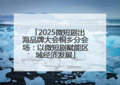 2025微短剧出海品牌大会桐乡分会场：以微短剧赋能区域经济发展