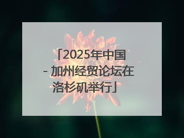2025年中国－加州经贸论坛在洛杉矶举行