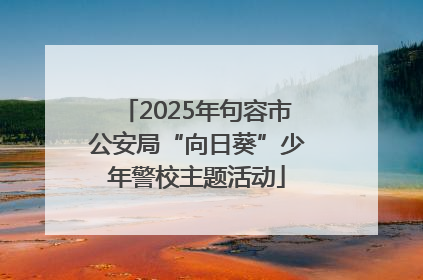 2025年句容市公安局“向日葵”少年警校主题活动