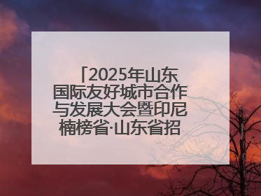 2025年山东国际友好城市合作与发展大会暨印尼楠榜省·山东省招商交流会在济南槐荫举行