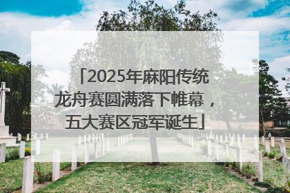 2025年麻阳传统龙舟赛圆满落下帷幕，五大赛区冠军诞生