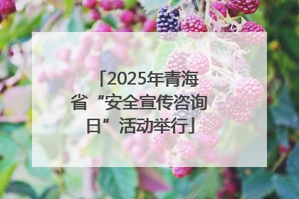 2025年青海省“安全宣传咨询日”活动举行