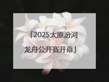 2025太原汾河龙舟公开赛开幕