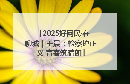 2025好网民·在聊城｜王晨：检察护正义 青春筑晴朗
