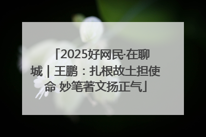 2025好网民·在聊城｜王鹏：扎根故土担使命 妙笔著文扬正气