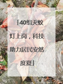 40组灭蚊灯上岗，科技助力居民安然度夏