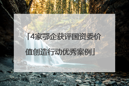 4家鄂企获评国资委价值创造行动优秀案例