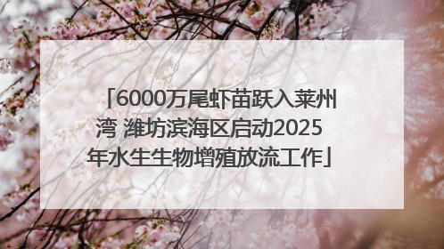 6000万尾虾苗跃入莱州湾 潍坊滨海区启动2025年水生生物增殖放流工作