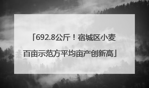 692.8公斤！宿城区小麦百亩示范方平均亩产创新高