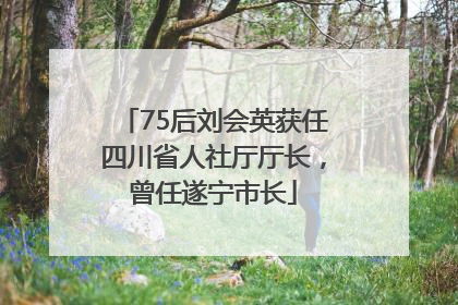 75后刘会英获任四川省人社厅厅长，曾任遂宁市长
