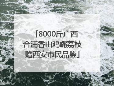 8000斤广西合浦香山鸡嘴荔枝赠西安市民品鉴
