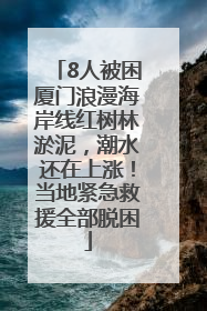 8人被困厦门浪漫海岸线红树林淤泥，潮水还在上涨！当地紧急救援全部脱困