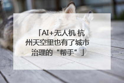 AI+无人机 杭州天空里也有了城市治理的“帮手”
