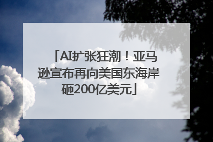 AI扩张狂潮！亚马逊宣布再向美国东海岸砸200亿美元